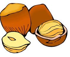 Nut Clip Art N41