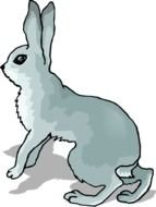 Cottontail Rabbit Clip Art N2