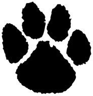 Panther Paw Print N8