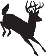 black silhouette of a young running deer