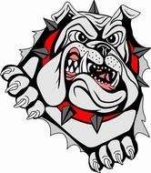 Bulldog Embroidery Designs N2