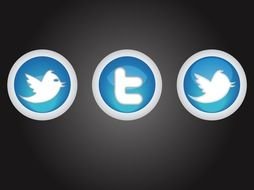 Twitter Bird Button Logo drawing