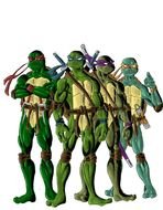 Teenage Mutant Ninja Turtles N36