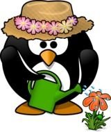 penguin watering flowers