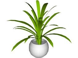 drawn pot plant with long leaves