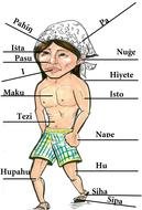 Body Language drawing