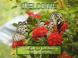 Welcome as a colorful picture