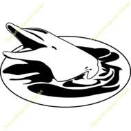 Name Water Dolphin Description Keywords