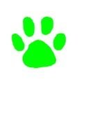 green Dog Paw Print drawing