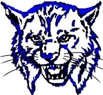 blue lynx head sketch
