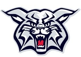 Wildcat head with sharp teeth, Logo