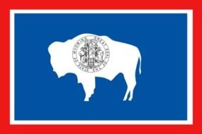 Wyoming State Flag, drawing
