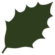 Leaf Rake Clipart Medium Size
