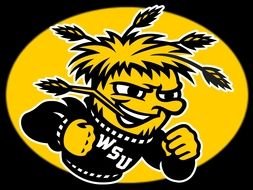 wichita state university mascot