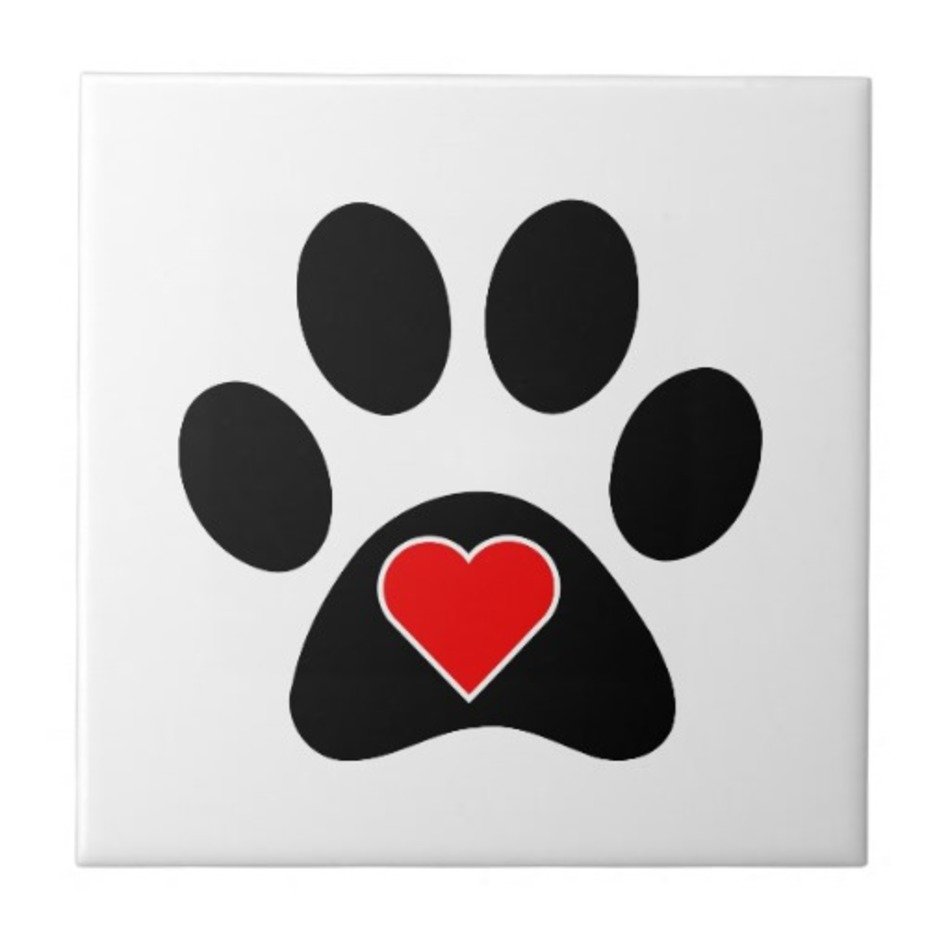 Dog Paw Heart