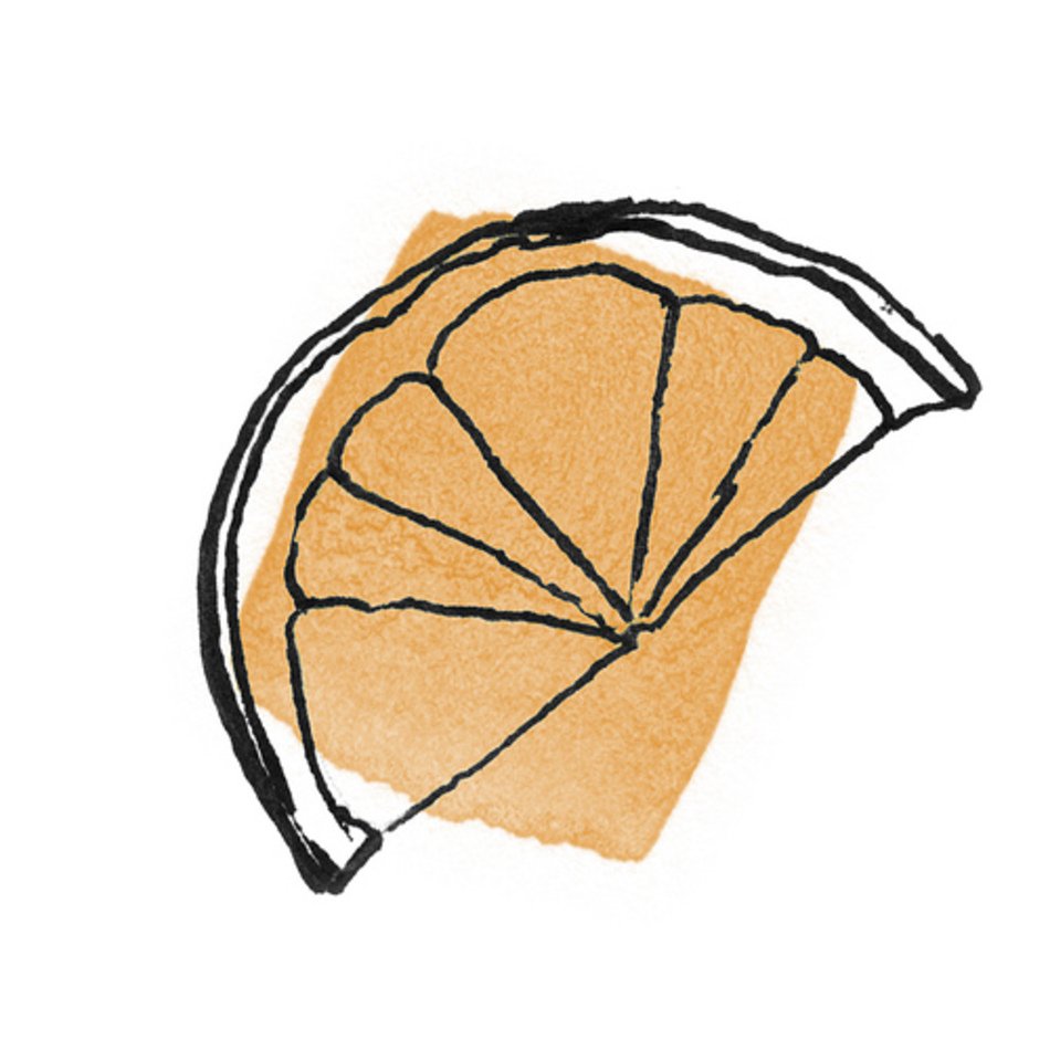 Orange Slice Drawing N2