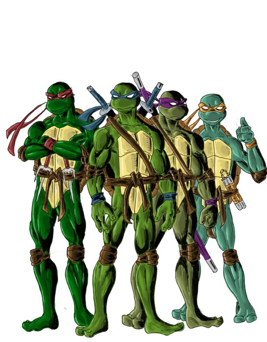 Teenage Mutant Ninja Turtles N36