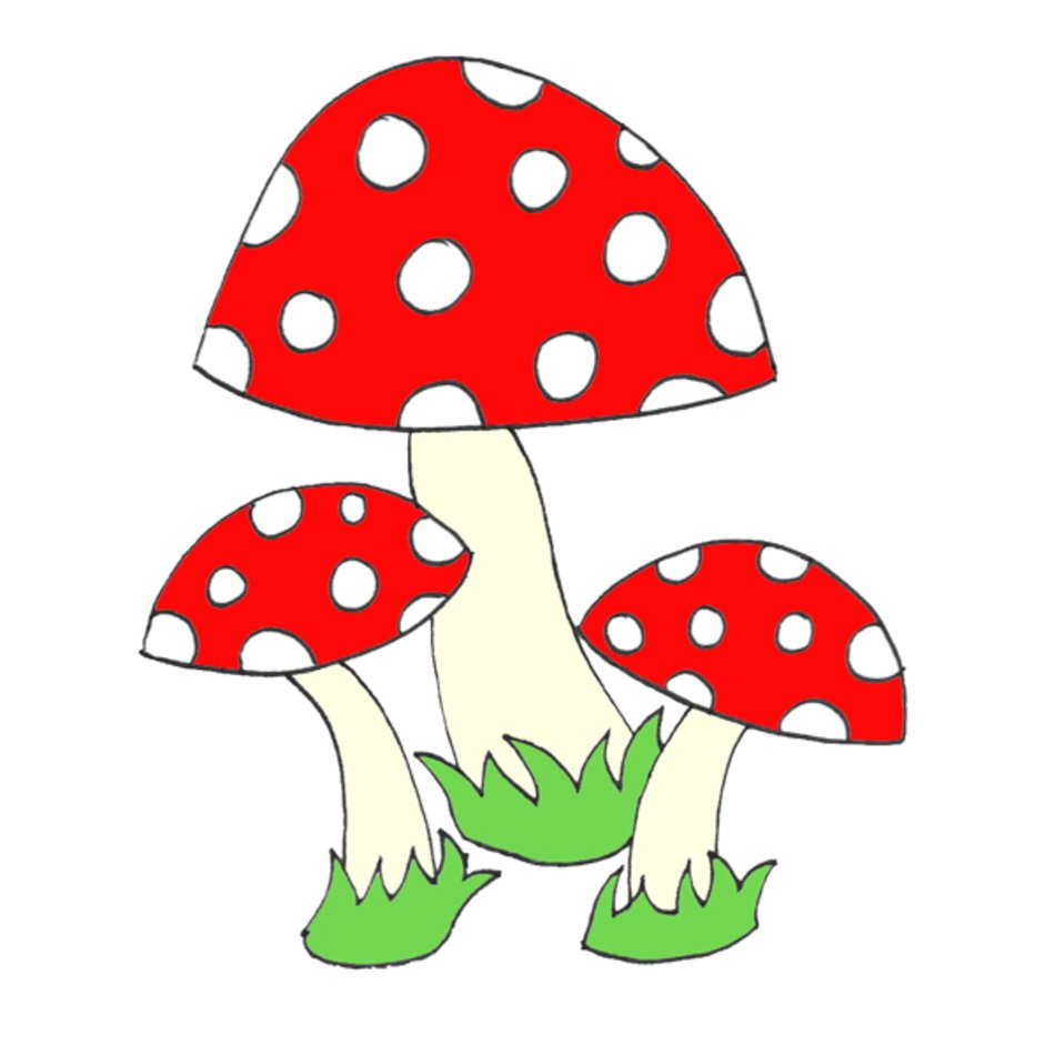 Princess Toadstool