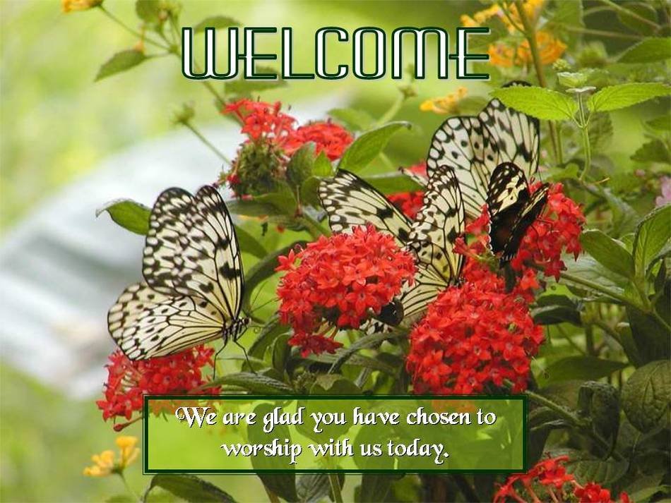 Welcome as a colorful picture