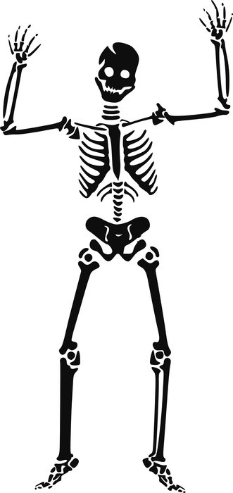 Skeleton Clip Art N27