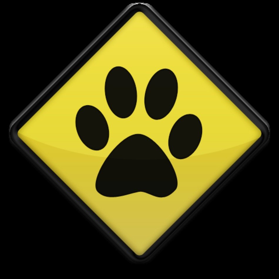Yellow Paw Print N4