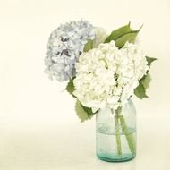 Mason Jar Flowers N2