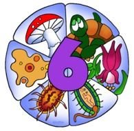 Six Kingdoms Of Life