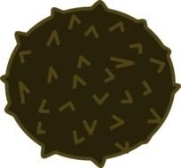 Coconut Clip Art N27