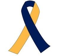 Prostate Cancer Ribbon Clip Art N13