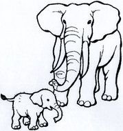 Black and white drawing of the two elephants clipart