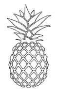 grey Pineapple Drawing