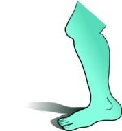 Human Leg darwing