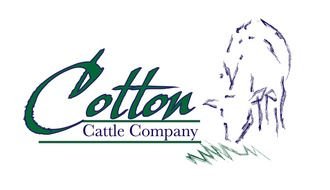 Cattle Company Logo Design