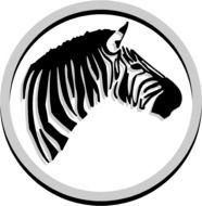 Zebra Head drawing