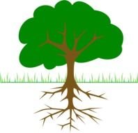 Tree With Roots Clip Art N31