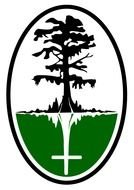 Cypress Tree Logo drawing