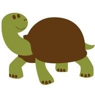 Animal Turtles drawing