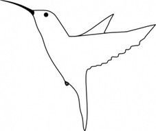 Humming Bird Clip Art N4