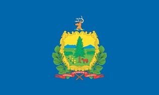 flag of state of Vermont as a picture for clipart