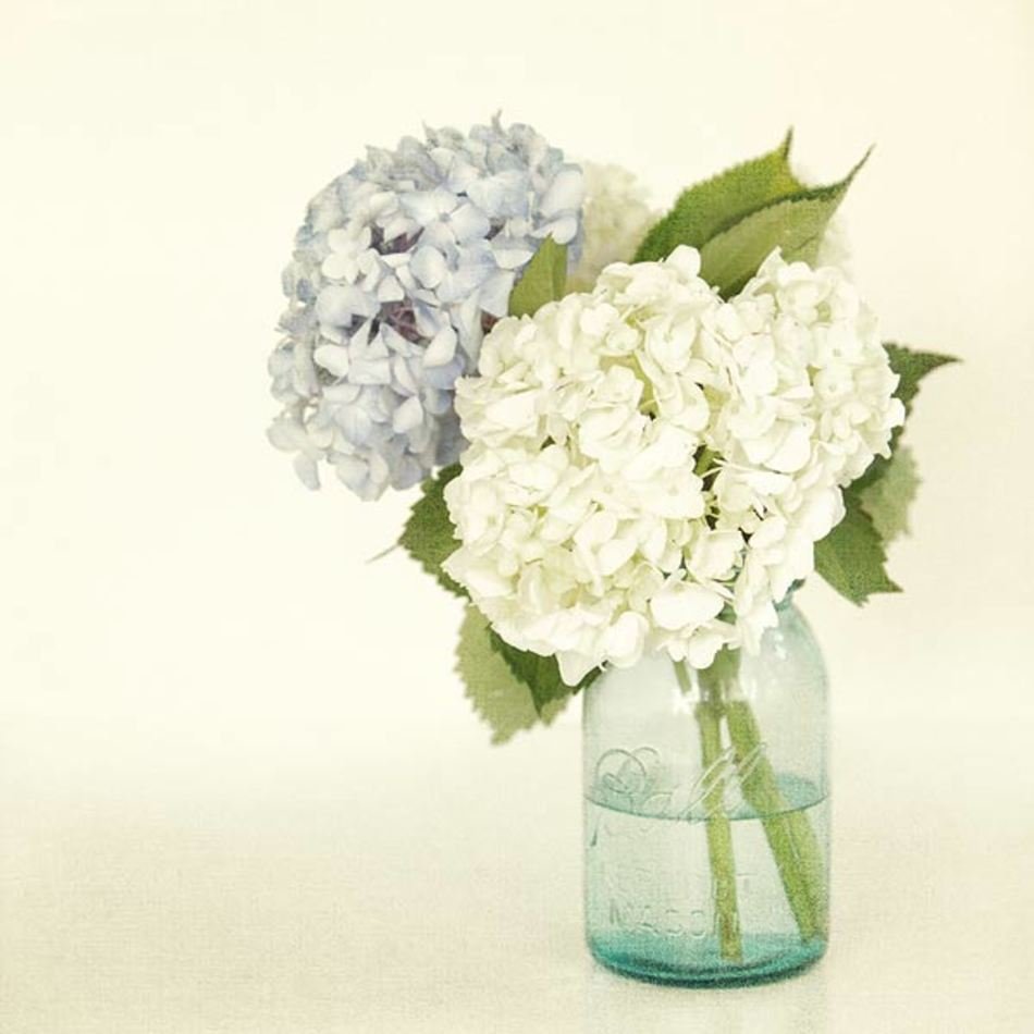 Mason Jar Flowers N2