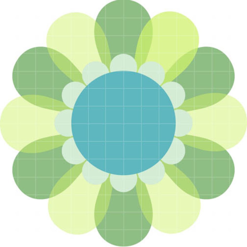 Bloom Flowers