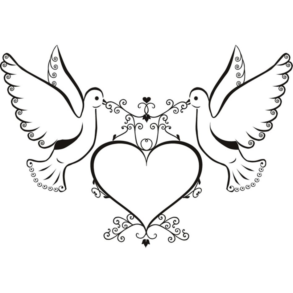 Tauben Und Herz Wand Aufkleber Love Wandtattoo Kunst EBay