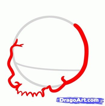 How To Draw A Skull Head