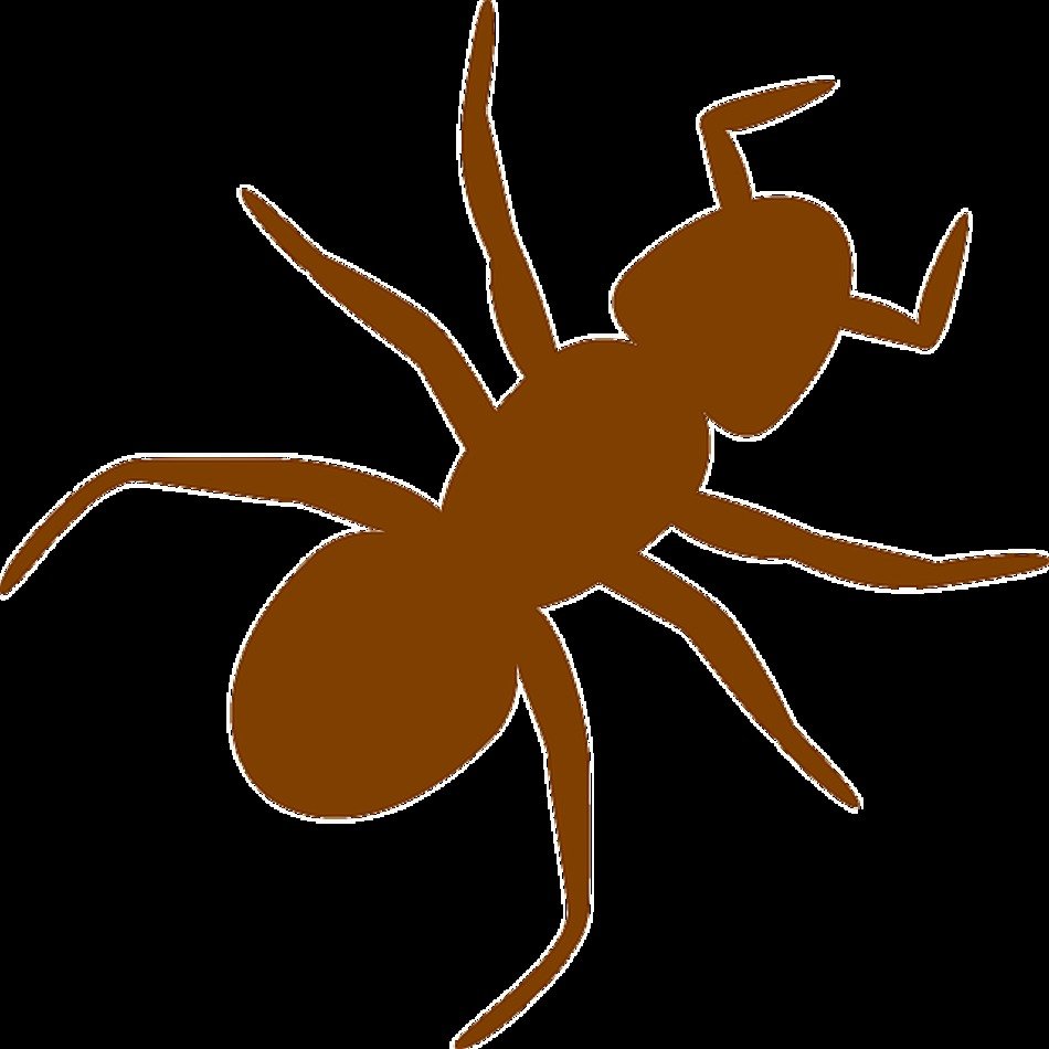 Red Ant Clip Art N10