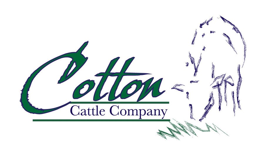 Cattle Company Logo Design