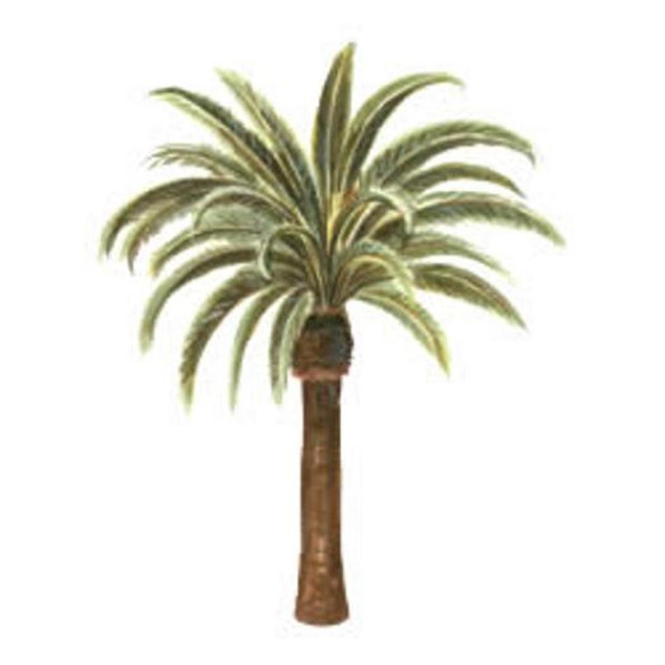 Palm Tree Border N3