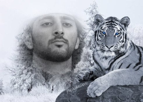 Black and white drawing of Crown Prince of Dubai and Tiger clipart