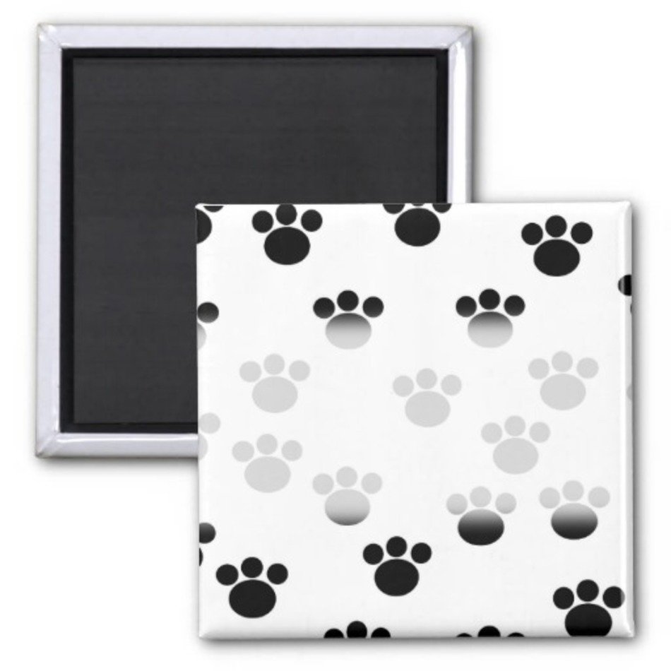 Animal Paw Prints N7