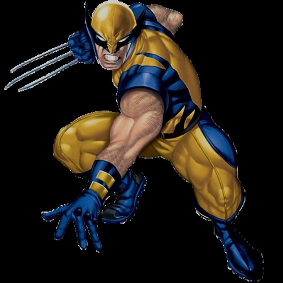 Wolverine X Men