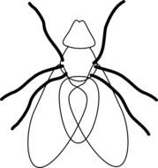 Fly Line Clip Art